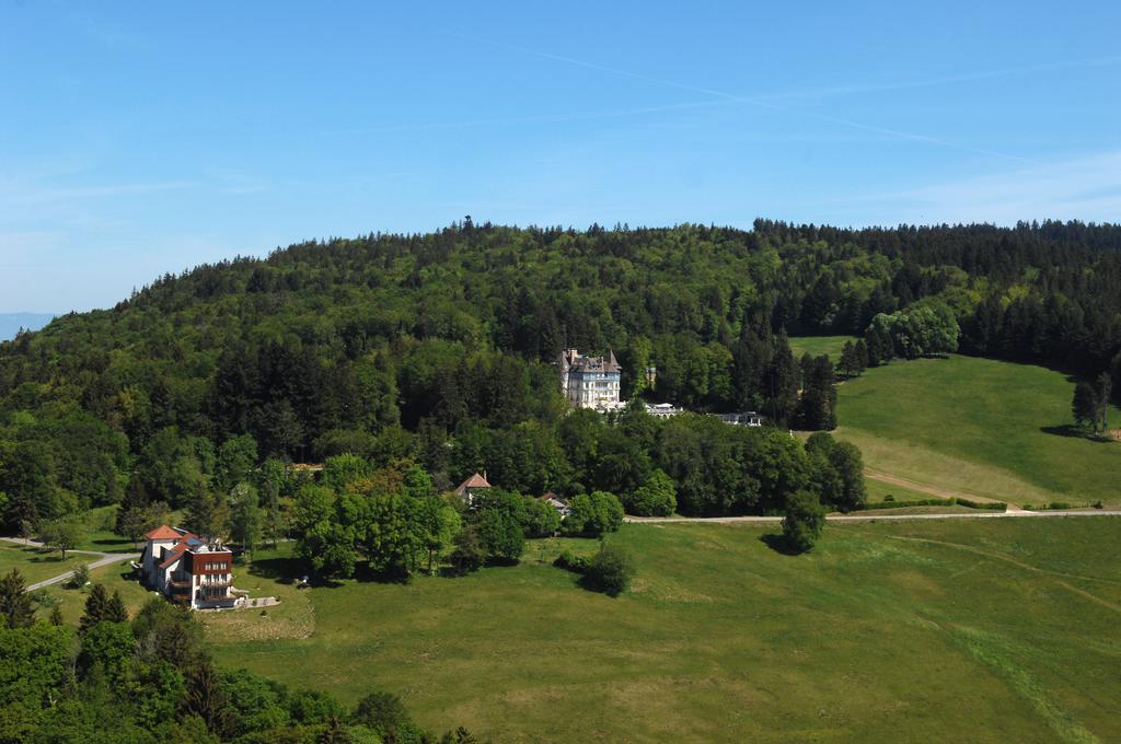 Chateau Des Avenieres Крюзей Екстер'єр фото